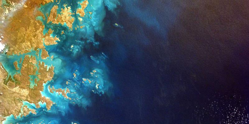 2024年网络技术趋势洞察：编程、安全与资源共享的融合演进