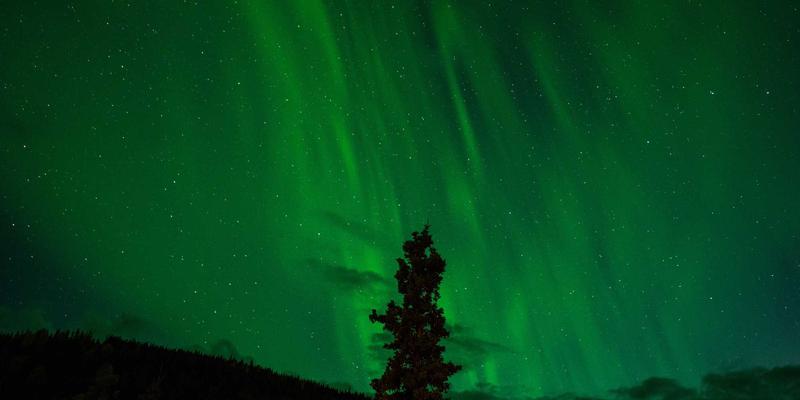 IT教程、软件下载与资源分享：构建您的数字技能宝库