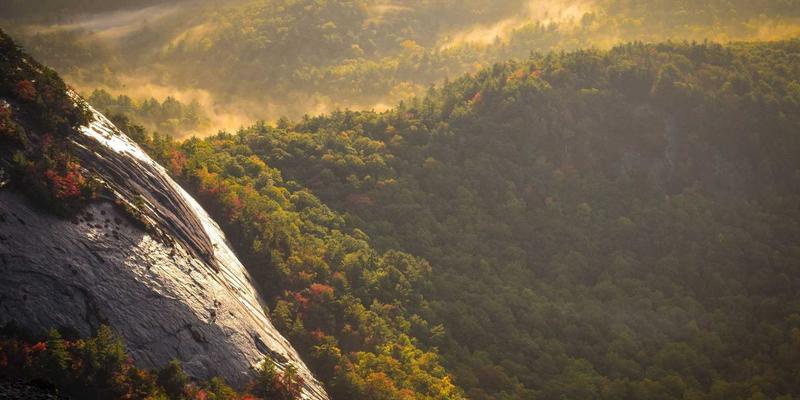 Wi-Fi 7标准深度解析：重塑企业级无线网络性能与用户体验 | 技术博客与编程指南