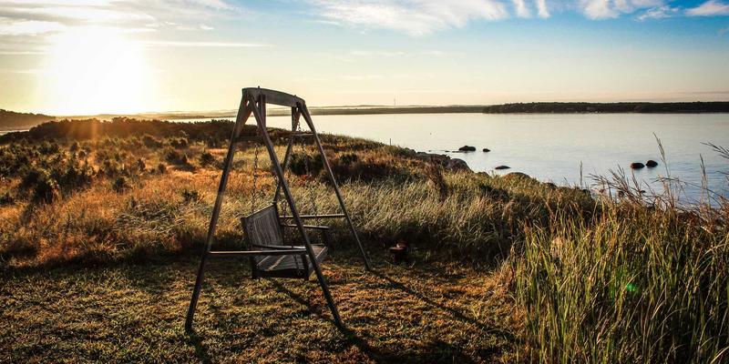 从IT教程到实战编程：掌握网络技术的核心路径