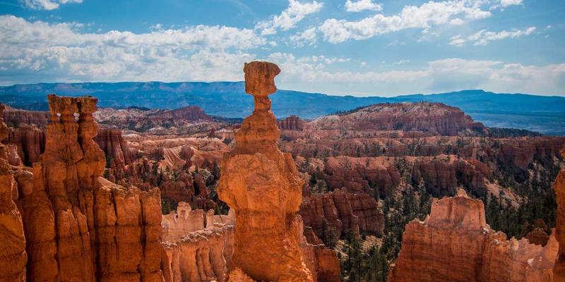 基于意图的网络（IBN）：下一代网络技术如何实现自驱动与智能业务保障