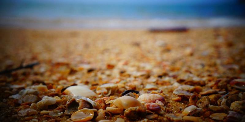 技术博客、IT教程与软件下载：构建高效网络技术学习生态的三大支柱