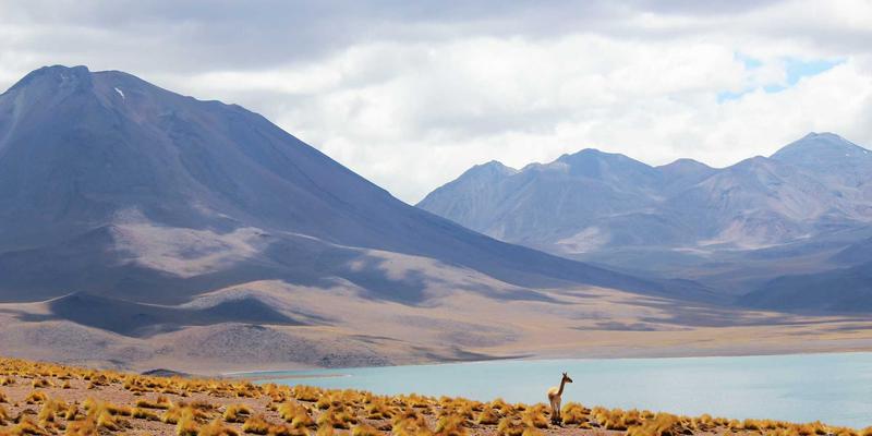 网络切片技术：5G时代赋能垂直行业定制化网络服务的关键