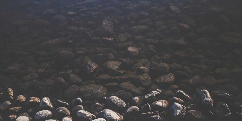 网络技术45：软件下载、网络安全与IT教程的融合指南