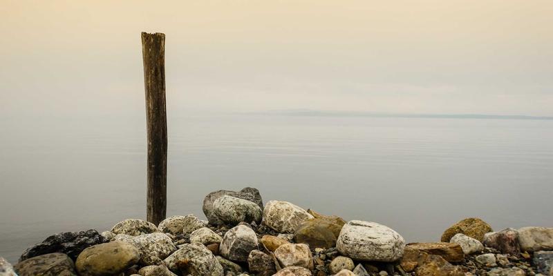 网络技术49：编程、软件下载与IT教程的深度整合指南