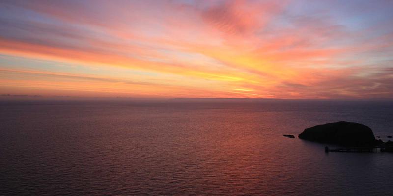 网络技术54：资源分享、技术博客与软件下载的深度整合指南