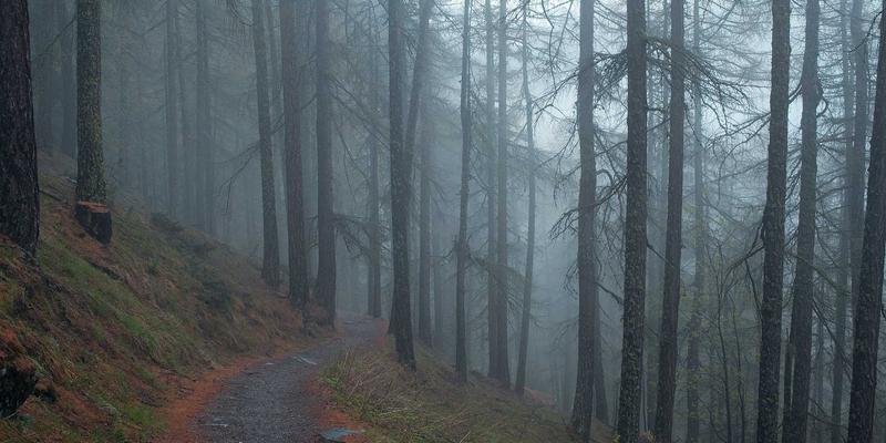 网络技术5：软件下载与网络安全的融合之道