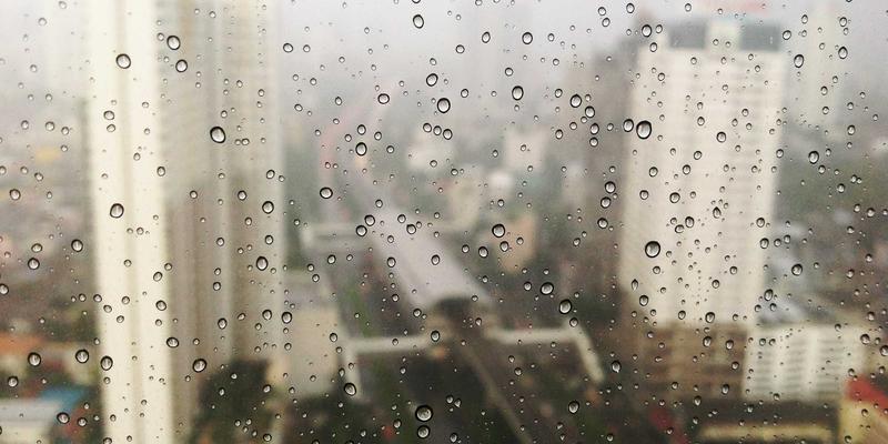 网络技术65：从IT教程到软件下载的完整编程学习路径