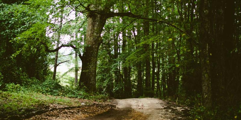 网络技术74：从基础到前沿，构建你的IT知识体系