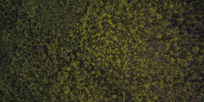 网络技术94：IT教程、软件下载与技术博客的深度整合指南