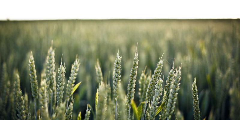 超融合基础设施如何重塑数据中心网络架构：资源分享、网络技术与编程的融合演进