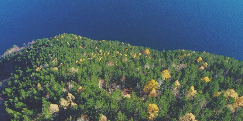 软件下载、网络技术与IT教程：构建数字时代的核心竞争力