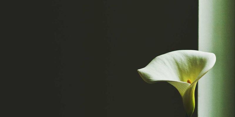 边缘计算与5G融合：破解下一代低延迟网络架构的技术挑战与安全机遇