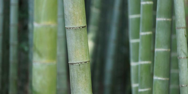 量子加密技术：重塑金融网络安全的未来防线 | 技术博客深度解析