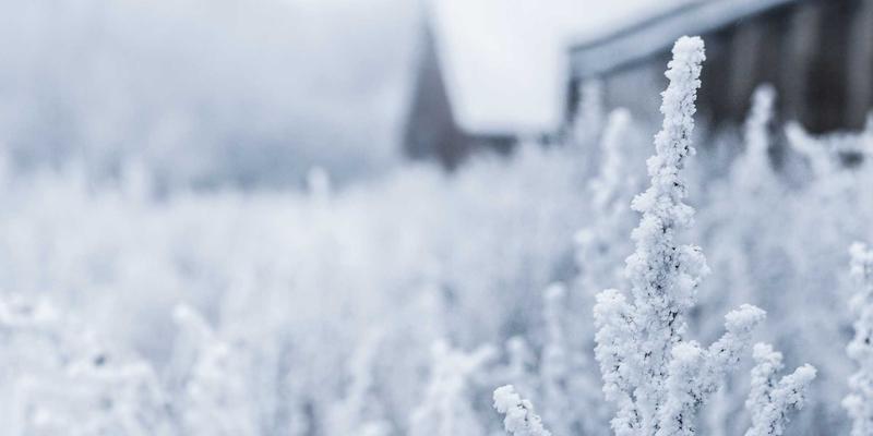 零信任网络架构（ZTNA）实施指南：构建企业远程办公的网络安全新防线